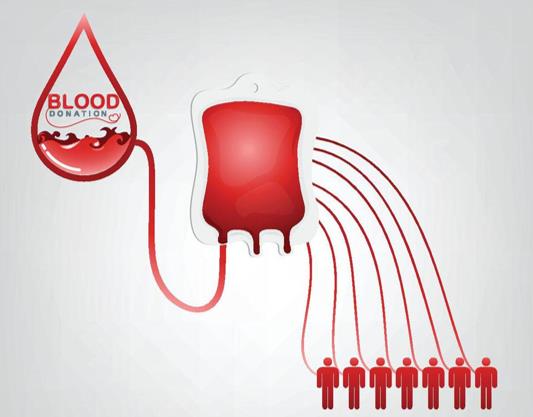 血液信息互联互通、献血管理云平台项目