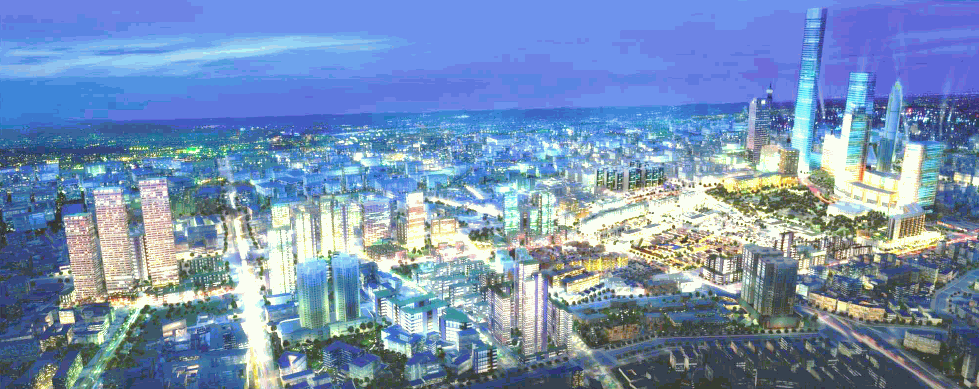 广东省佛山市禅城区电子商务产业发展规划