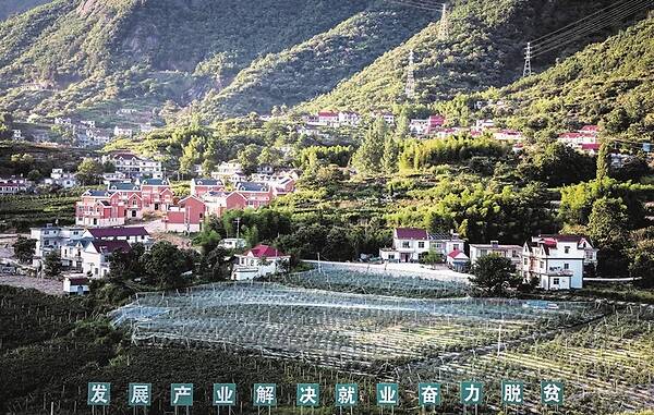 安庆岳西县大健康产业港项目定位报告