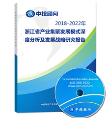 2018-2022年浙江省产业集聚发展模式深度分析及发展战略研究报告