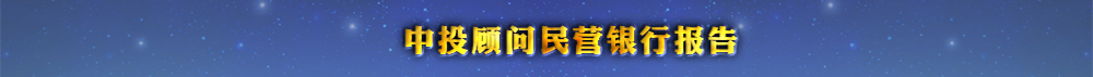 中投顾问民营银行报告